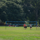 Image for article titled Battle of the Superzooms: Canon G3X vs. Sony RX10 Mark II